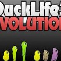Ducklife 3 Evolution